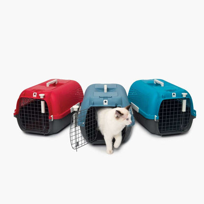 Drei Catit Transportboxen in rot, blau, türkis. Katze in mittlerem.