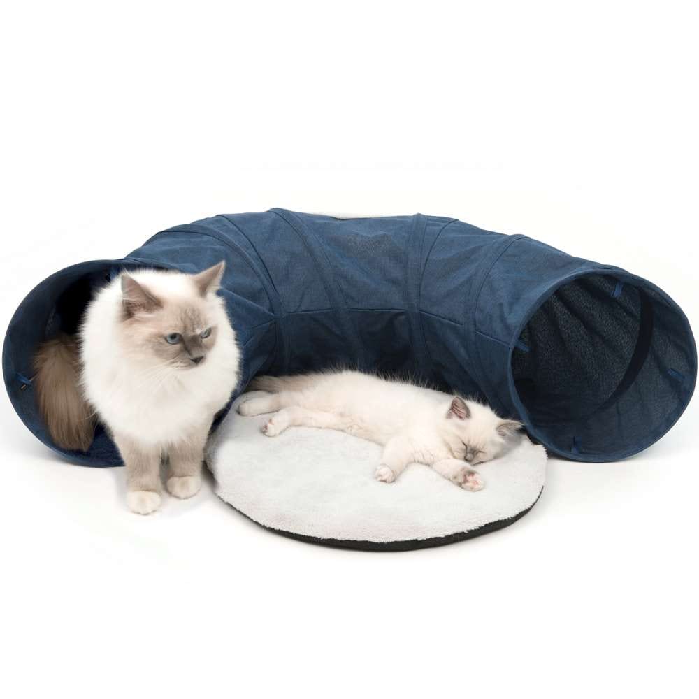 Zwei Katzen mit dem "Catit Vesper Tunnel", blau.