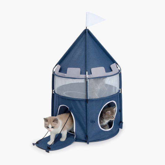 Katzen spielen in der "Vesper Burg"