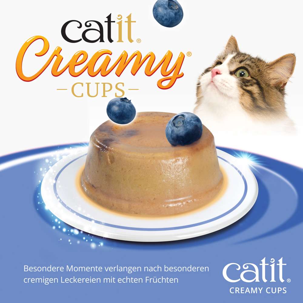 Die "Catit Creamy Cups" der Sorte "Thunfisch, Huhn & Heidelbeeren" in Nah-Ansicht. Eine Katze schaut neugierig.