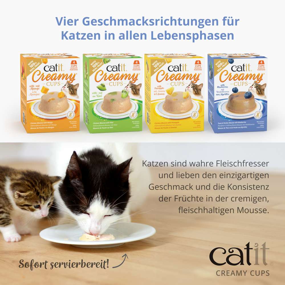 Katzen sind wahre Fleischfresser und lieben den einzigartigen Geschmack und die Konsistenz der Früchte in der cremigen, fleischhaltigen Mousse.