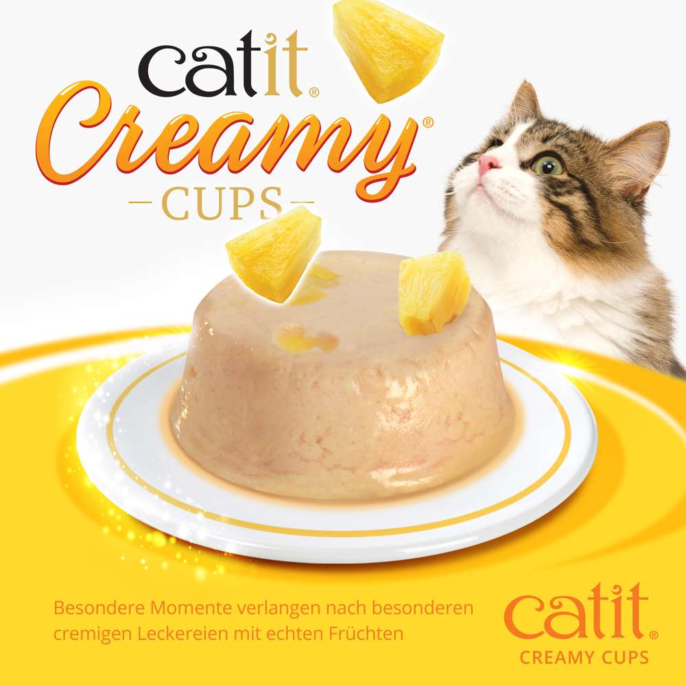 Die "Catit Creamy Cups" der Sorte "Huhn & Ananas" in Nah-Ansicht. Eine Katze schaut neugierig.