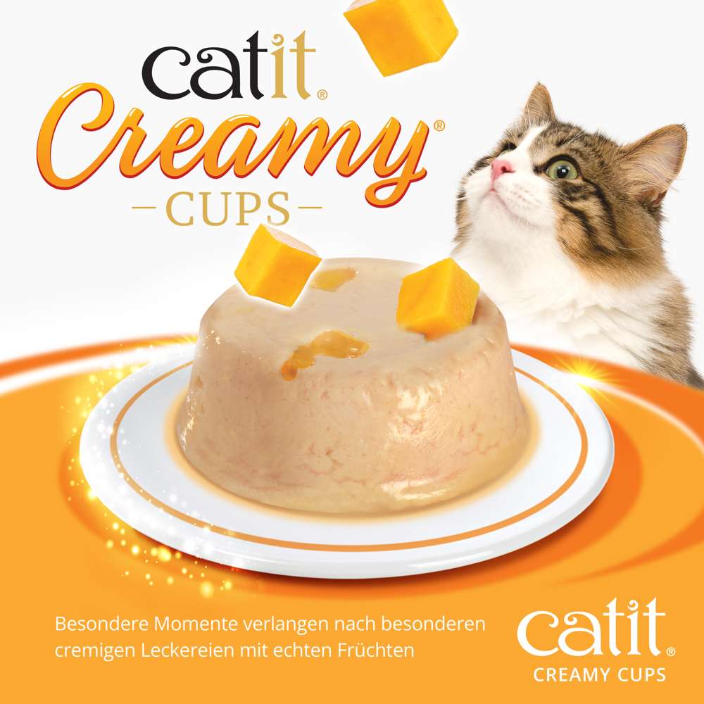 Die "Catit Creamy Cups" der Sorte "Huhn & Mango" in Nah-Ansicht. Eine Katze schaut neugierig.