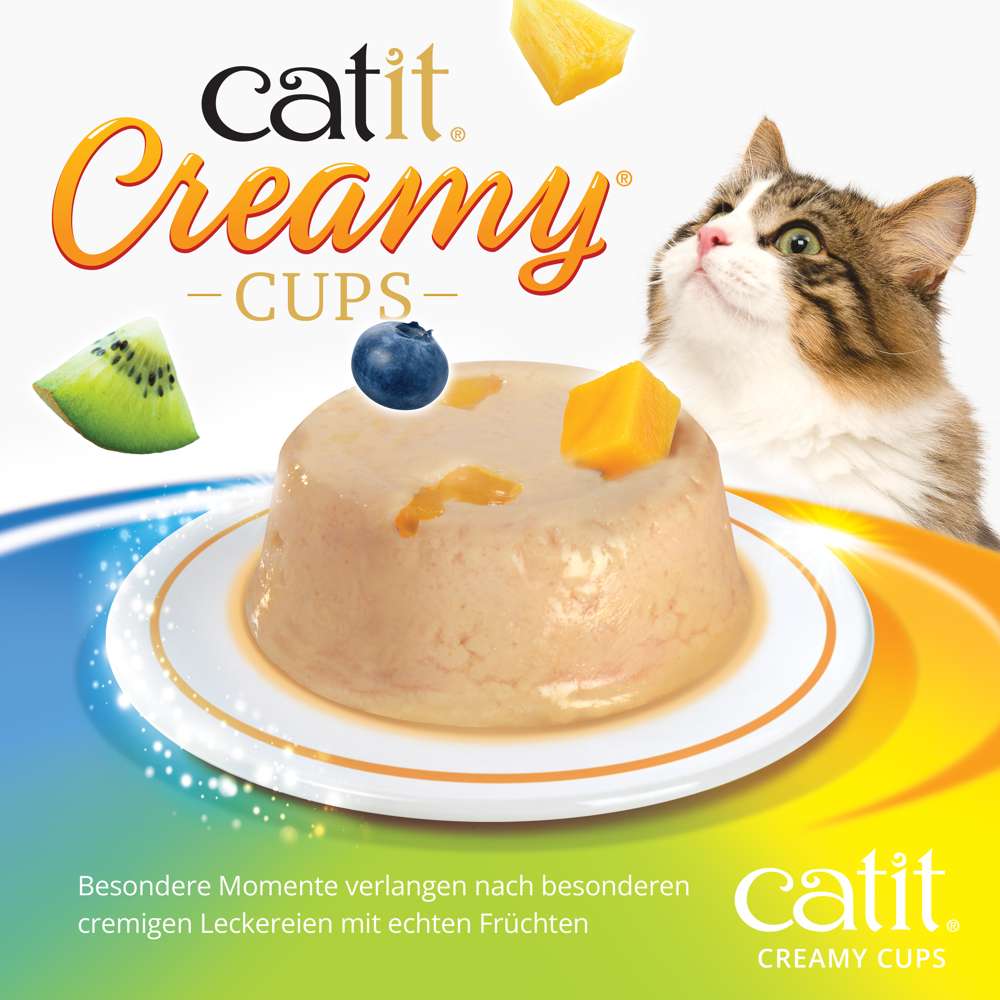 Die "Catit Creamy Cups" der Sorte "Mix Pack" in Nah-Ansicht. Eine Katze schaut neugierig.