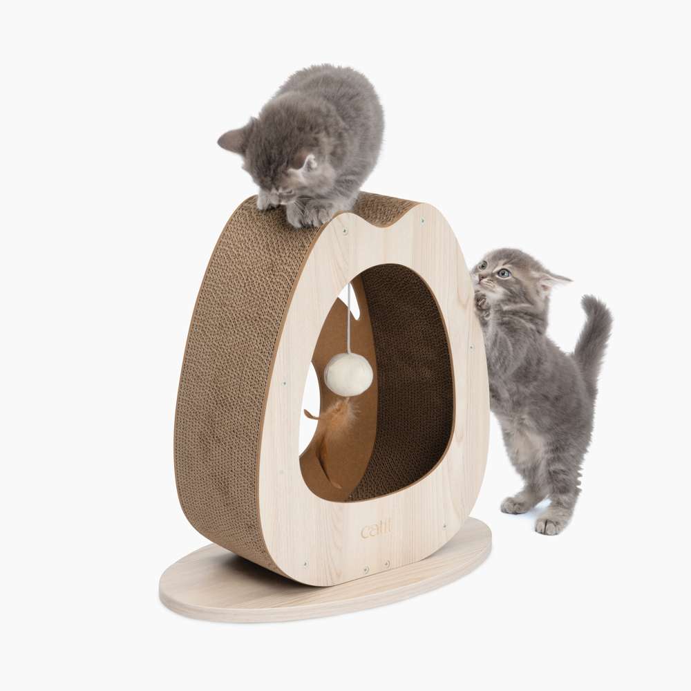 Katzen spielen mit der breiten Kratzskulptur