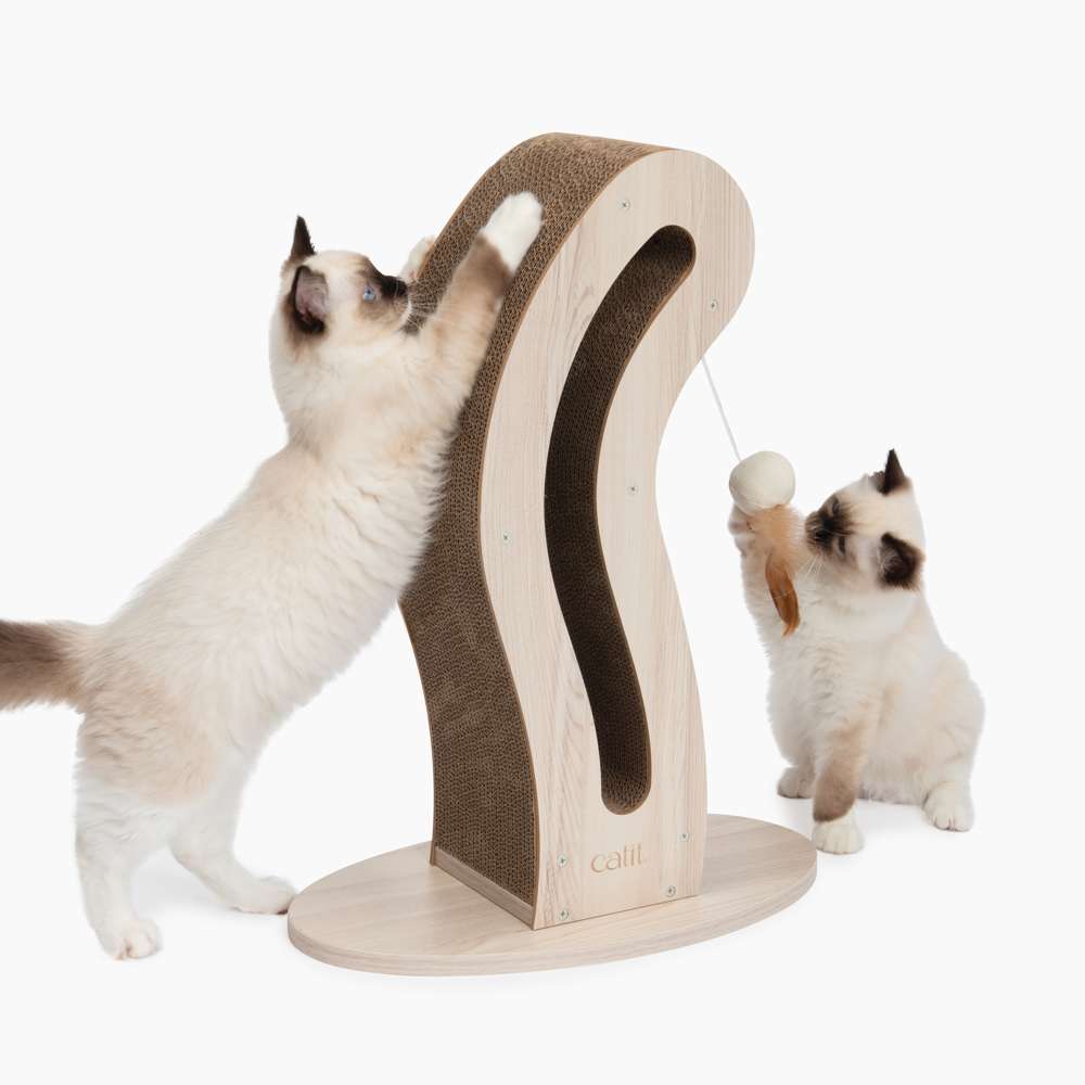 Katzen spielen mit der katzenschwanzförmigen Kratzskulptur