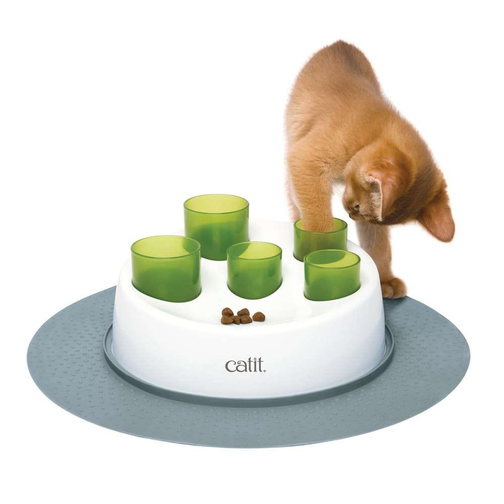 Eine Katze holt Trockenfutter aus dem Catit Senses Aktiv-Futternapf