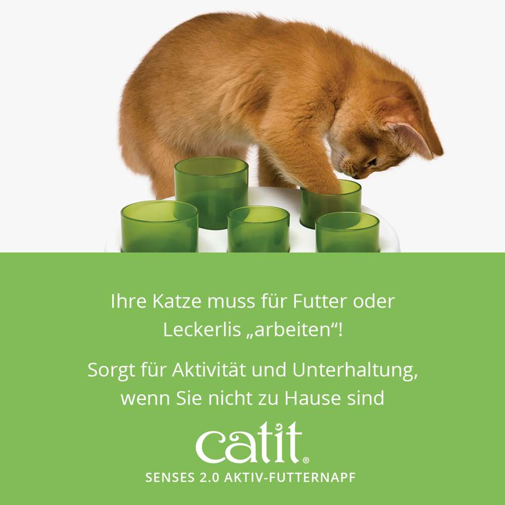 Ihre Katze muss für Futter oder Leckerlis arbeiten. Sorgt für Aktivität und Unterhaltung, wenn Sie nicht zuhause sind.