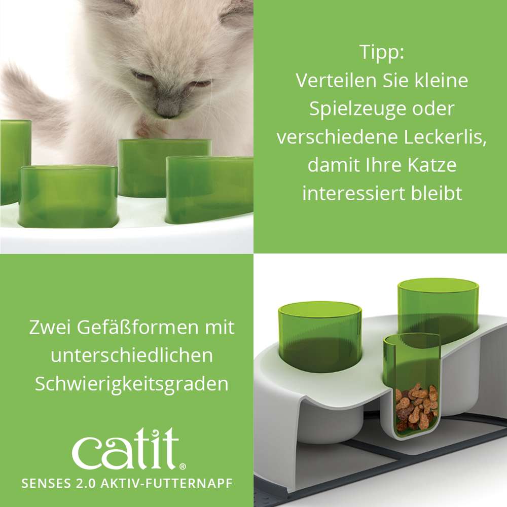 Zwei Gefäßformen mit unterschiedlichen Schwierigkeitsgraden. Tipp: Verteilen Sie kleine Spielzeuge oder verschiedene Leckerlis.