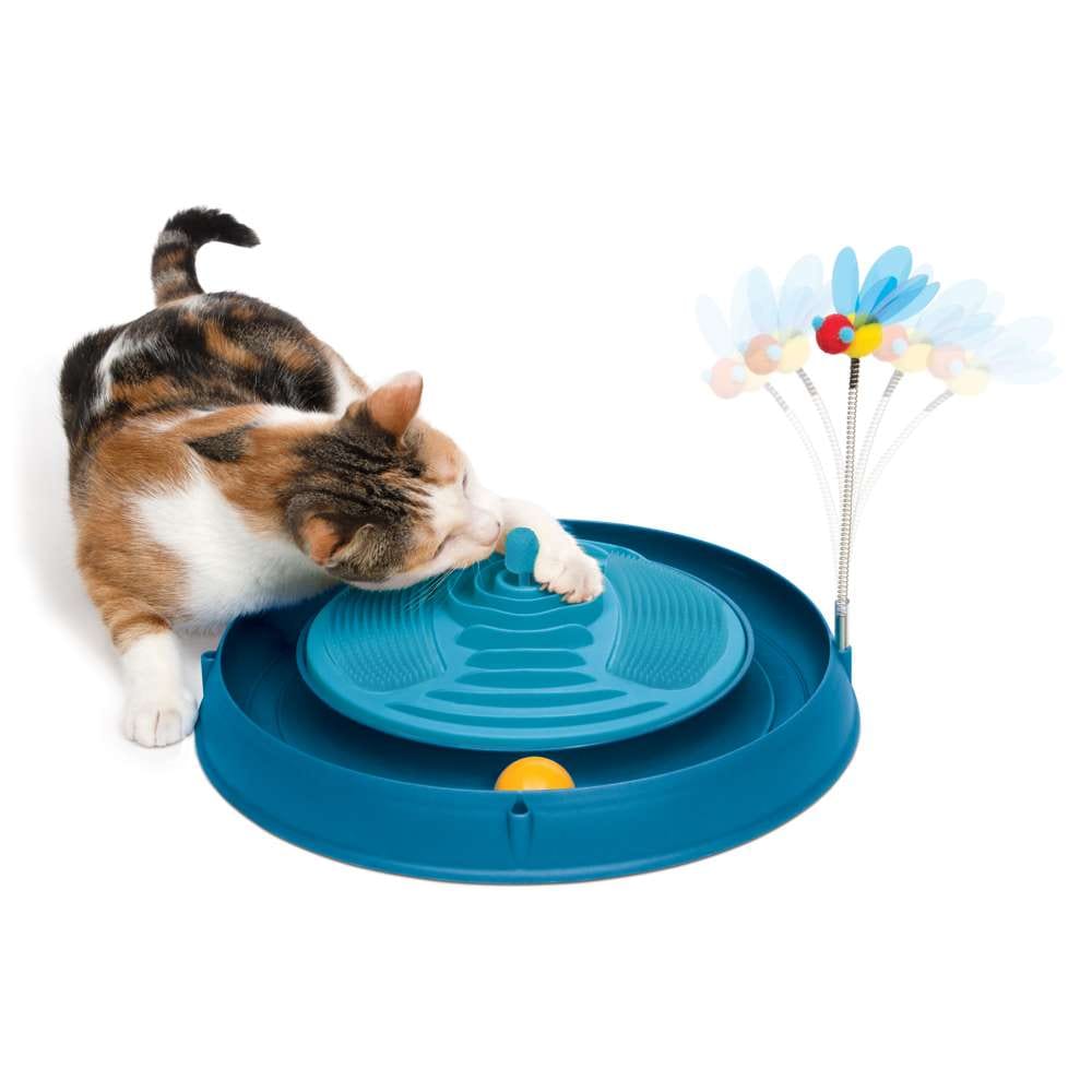 Katze spielt mit blauem Katzenspielzeug mit Spielschiene und Katzenminze-Massagestation