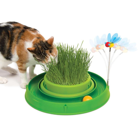 katzen spielt mit grünem Katzenspielzeug mit Spielschiene und Samen und Substrat für Katzengras 