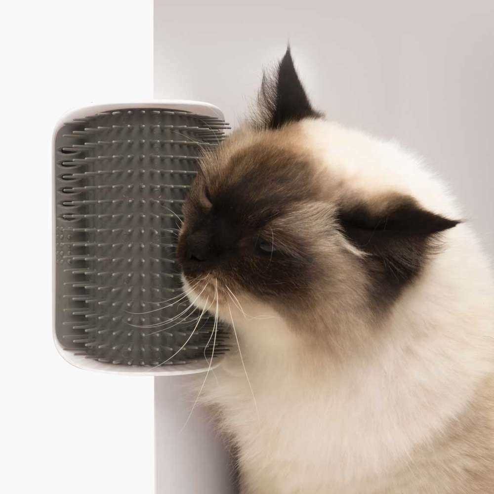 Eine Katze massiert sich die Wange an der Catit Massage-Ecke.