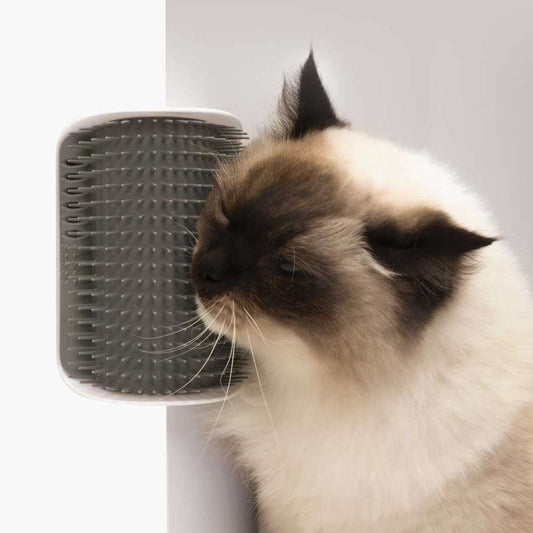Eine Katze massiert sich die Wange an der Catit Massage-Ecke.