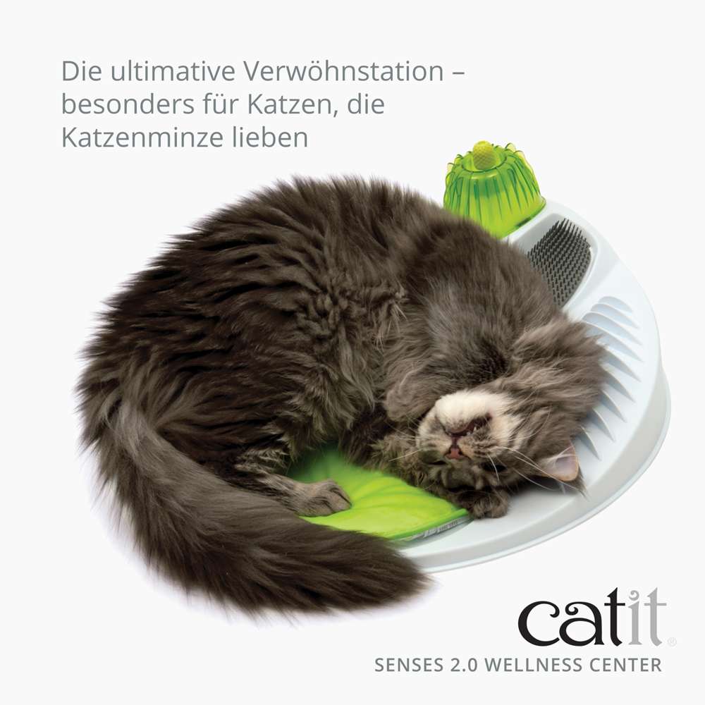 Die ultimative Verwöhnstation. Besonders für Katzen, die Katzenminze lieben.