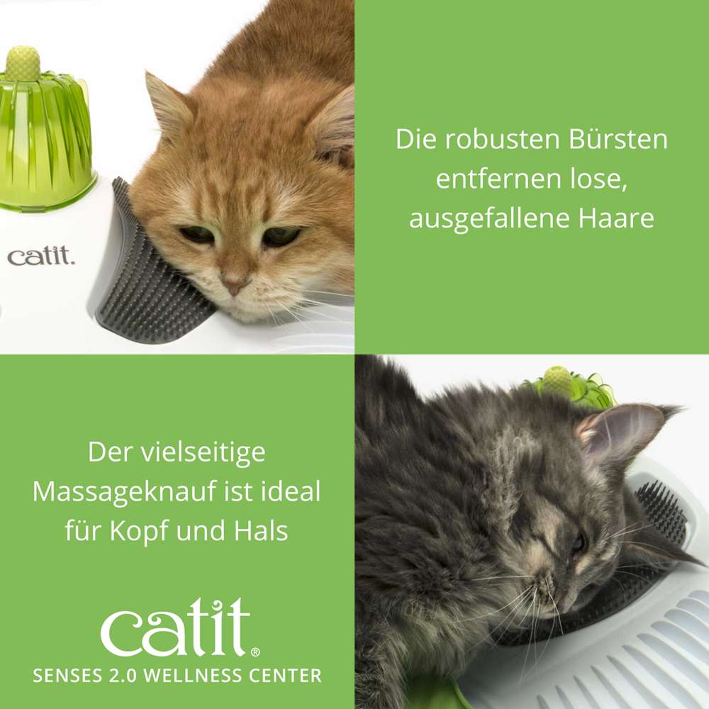Die robusten Bürsten entfernen lose, ausgefallene Haare. Der vielseitige Massageknauf ist ideal für Kopf und Hals.