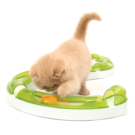 Ein flauschiges Kätzchen stößt einen orangefarbigen Ball in einer grünen Catit Senses Play Circuit Spielschiene.