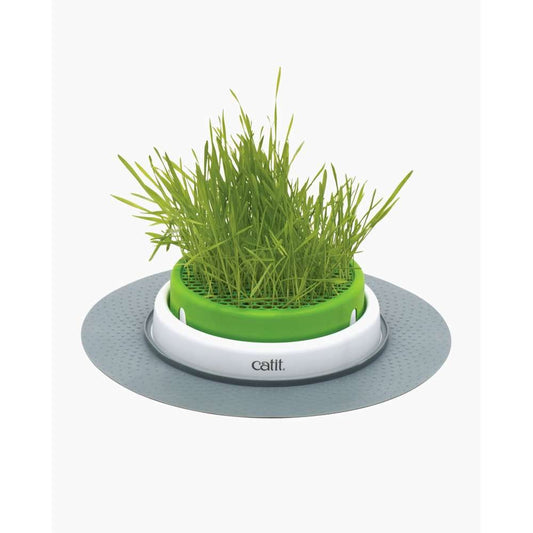 Catit Senses Grastopf mit wachsendem Katzengras, stabiles Design mit Abdeckgitter.