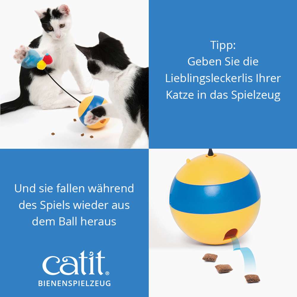 Tipp. Geben Sie die Lieblingsleckerlis Ihrer Katze in das Spielzeug und sie fallen während des Spiels wieder aus dem Ball heraus.Katzen spielen mit Bienenspielzeug