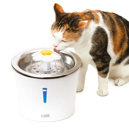 Eine Katze trinkt vom "Catit Blumentrinkbrunnen mit Edelstahleinsatz"