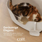 Geräumige Eleganz Viel Platz für deine Katze, um ihr Geschäft zu verrichten, Katze in Toilette.