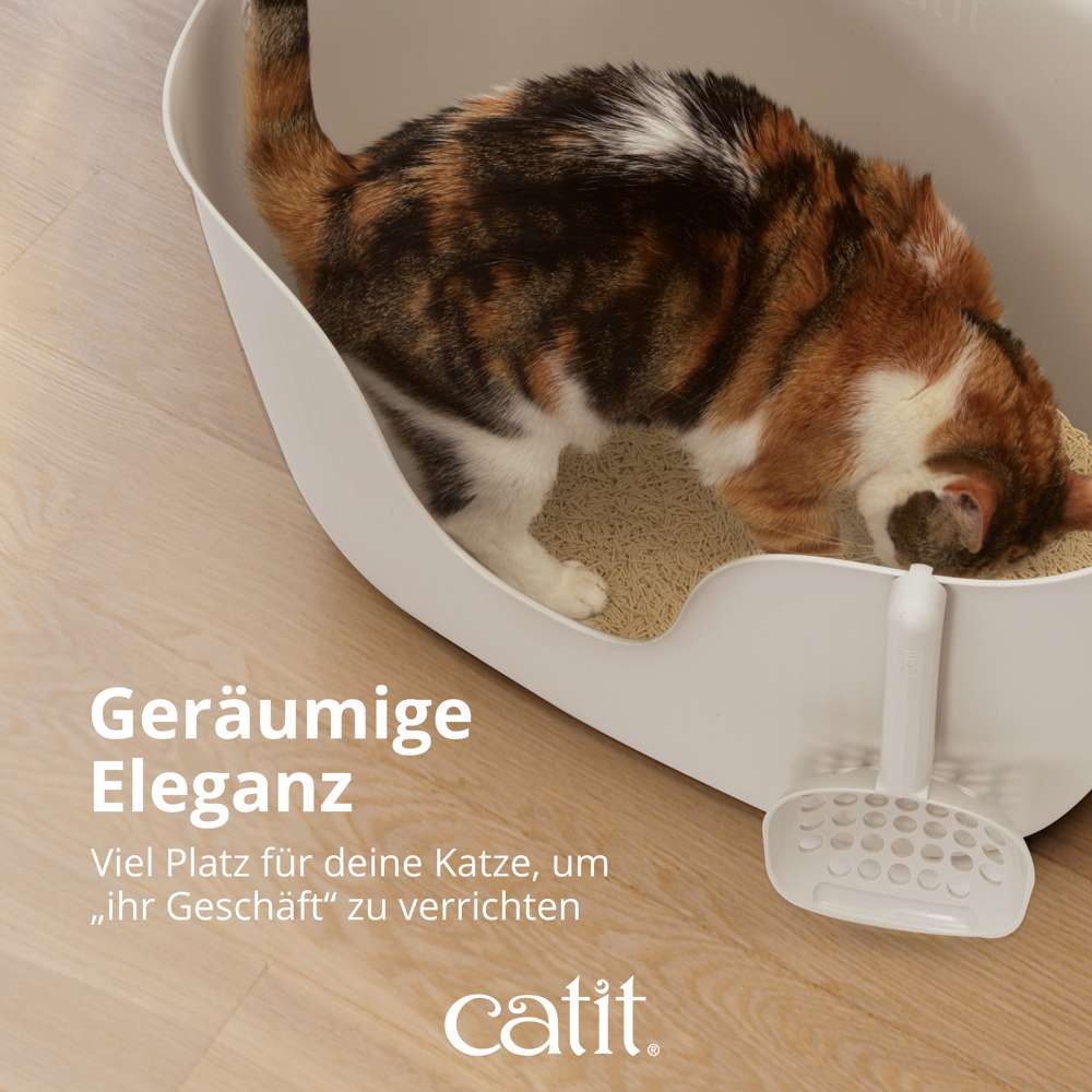 Geräumige Eleganz Viel Platz für deine Katze, um ihr Geschäft zu verrichten, Katze in Toilette.