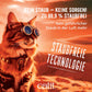 Catit Go Natural! Klumpendes Katzenstreu aus Erbsenhülsen