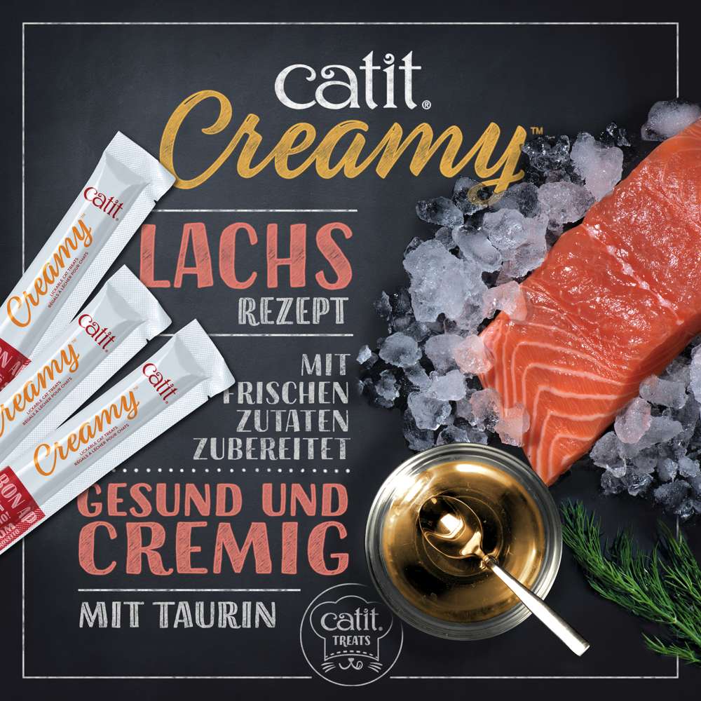 Lachs: mit frischen Zutaten zubereitet. Gesund und cremig. Mit Taurin.
