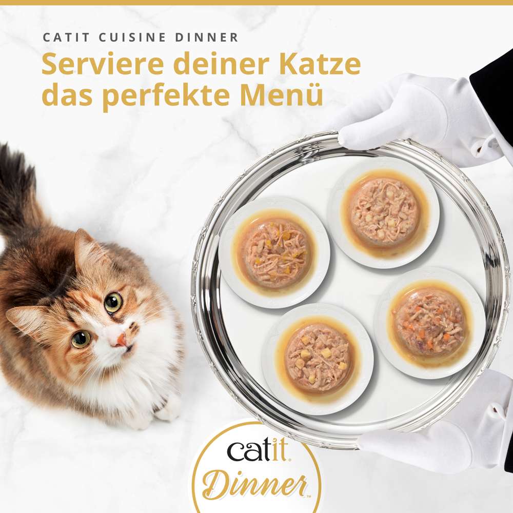 Serviere deiner Katze das perfekte Menü mit Catit Cuisine Dinner Chicken Katzenfutter, Katze schaut auf Tablett mit vier Schalen.