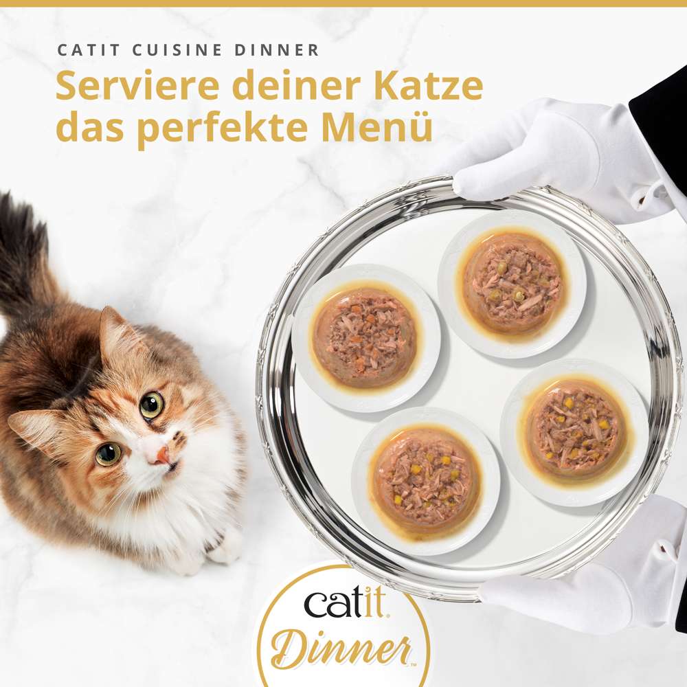 Catit Cuisine Dinner Serviere deiner Katze das perfekte Menü, Katze schaut auf Tablett mit vier Futterportionen.