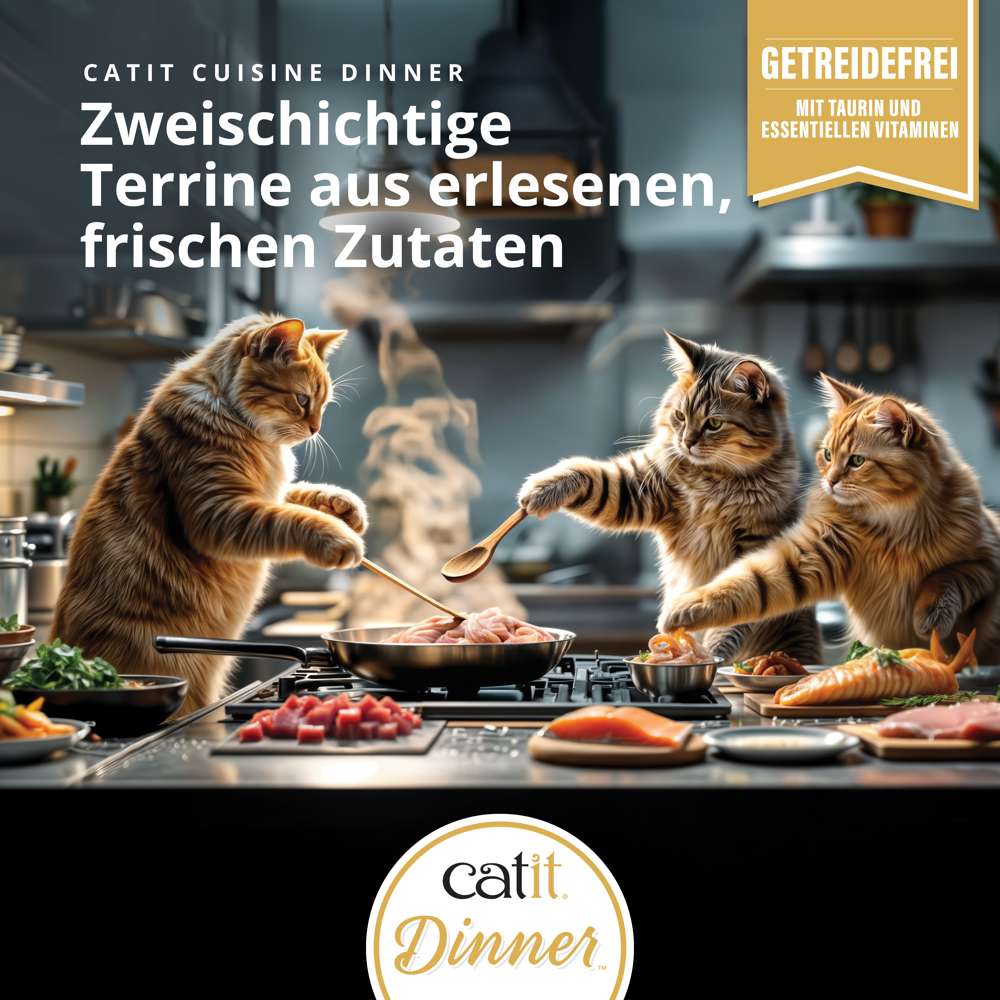 Zweischichtige Terrine aus erlesenen, frischen Zutaten in Catit Cuisine Dinner Fish Katzenfutter, drei Katzen kochen in Küche.