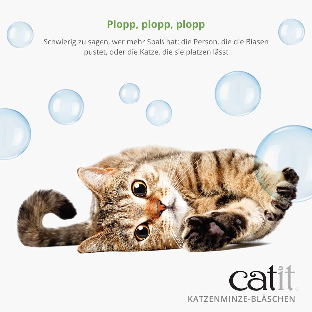 Schwierig zu sagen, wer mehr Spaß hat: die Person, die die Blasen pustet oder die Katze, die sie platzen lässt.