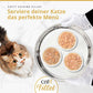 Nahaufnahme einer dreifachen Katzennassfutterportion auf silbernem Tablett, serviert von Händen mit weißen Handschuhen, neben einer mehrfarbigen Katze. Text: 'CATIT CUISINE FILLET Serviere deiner Katze das perfekte Menü'.
