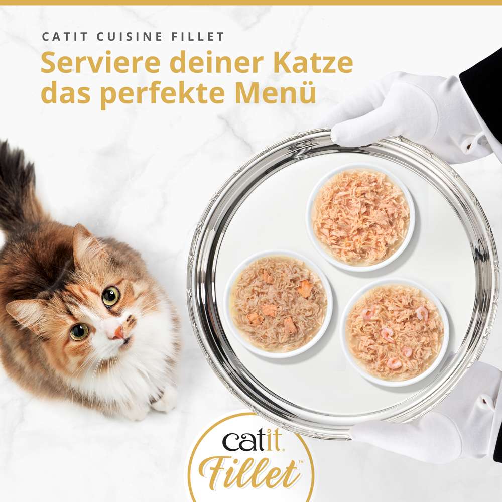 Nahaufnahme einer dreifachen Katzennassfutterportion auf silbernem Tablett, serviert von Händen mit weißen Handschuhen, neben einer mehrfarbigen Katze. Text: 'CATIT CUISINE FILLET Serviere deiner Katze das perfekte Menü'.