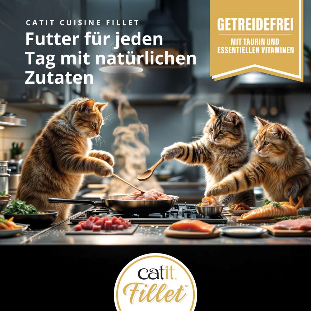 Drei Katzen in einer Küche, eine rührt mit einem Kochlöffel in einer Pfanne, Text 'Catit Cuisine Fillet Futter für jeden Tag mit natürlichen Zutaten', Banner 'Getreidefrei mit Taurin und essentiellen Vitaminen'.