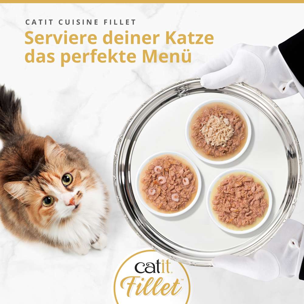 Nahaufnahme einer dreifachen Katzennassfutterportion auf silbernem Tablett, serviert von Händen mit weißen Handschuhen, neben einer mehrfarbigen Katze. Text: 'CATIT CUISINE FILLET Serviere deiner Katze das perfekte Menü'.