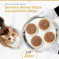 Serviere deiner Katze das perfekte Menü mit Catit Cuisine Bites Katzenfutter, Katze schaut auf Tablett mit vier Schalen.
