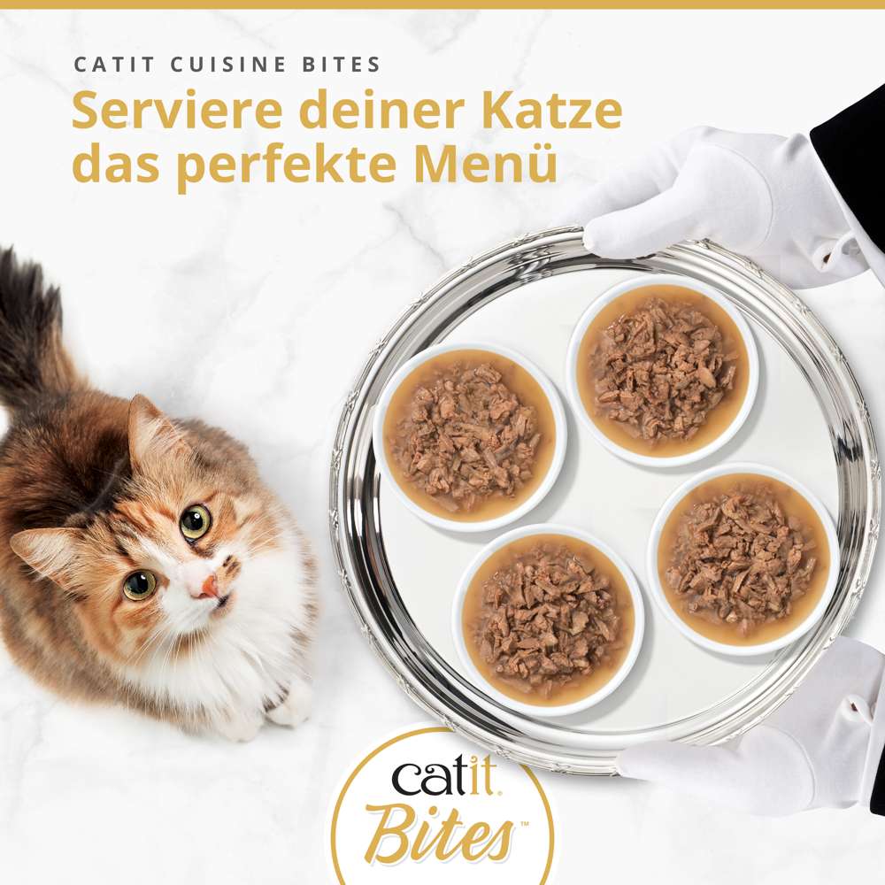 Serviere deiner Katze das perfekte Menü mit Catit Cuisine Bites Katzenfutter, Katze schaut auf Tablett mit vier Schalen.