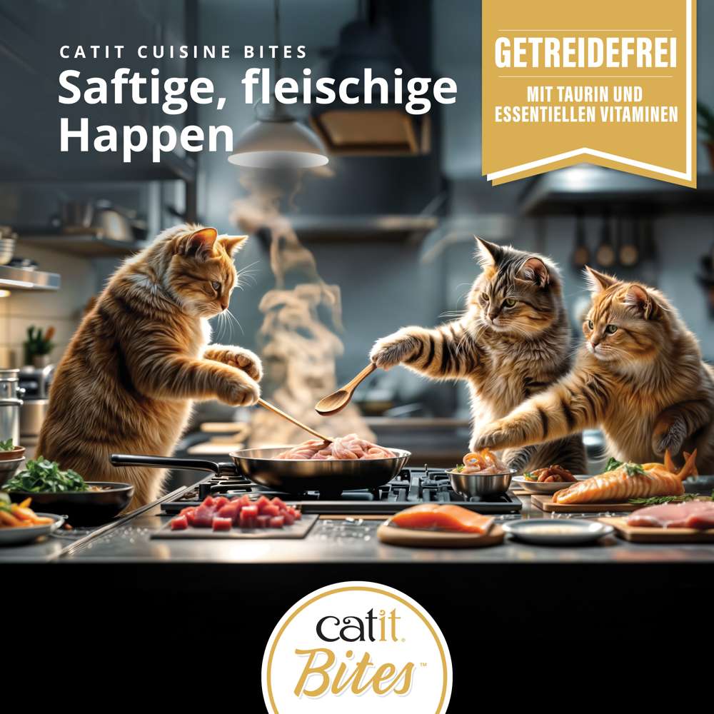Saftige, fleischige Happen in Catit Cuisine Bites Katzenfutter, drei Katzen kochen in Küche mit Zutaten.