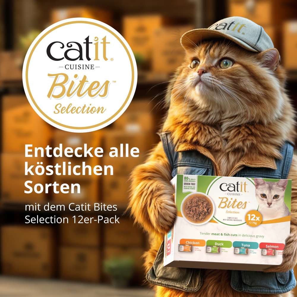Entdecke alle Sorten mit Catit Bites Selection 12er-Pack Katzenfutter, Katze mit Cap hält Verpackung.