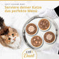 Serviere deiner Katze das perfekte Menü mit Catit Cuisine Duet Katzenfutter, Katze schaut auf Tablett mit vier Schalen Nassfutter.