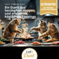 Ein Duett aus Happen und Toppings in Catit Cuisine Duet Katzenfutter, drei Katzen kochen in Küche mit Zutaten.