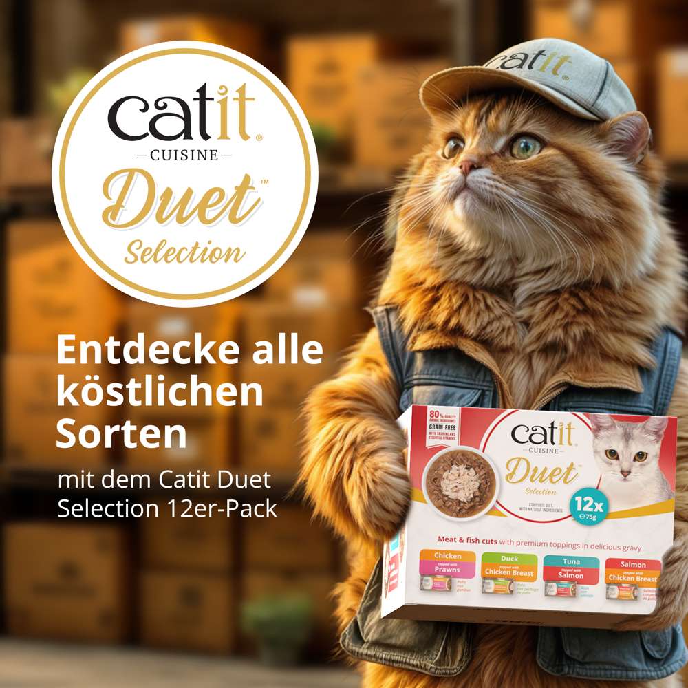 Entdecke alle köstlichen Sorten mit dem Catit Duet Selection 12er-Pack Katzenfutter, Katze mit Cap hält Verpackung.
