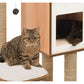 Zwei Katzen spielen auf einem zusammengebauten Kratzbaum "Catit Vesper High Base, Walnuss"