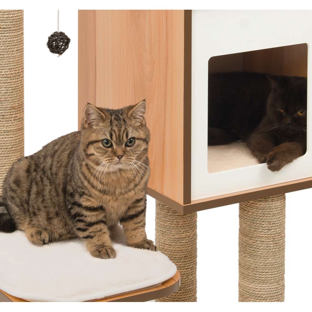 Zwei Katzen spielen auf einem zusammengebauten Kratzbaum "Catit Vesper High Base, Walnuss"