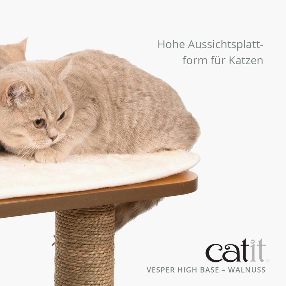 Hohe Aussichtsplattform für Katzen
