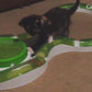 Catit Senses Feuerball